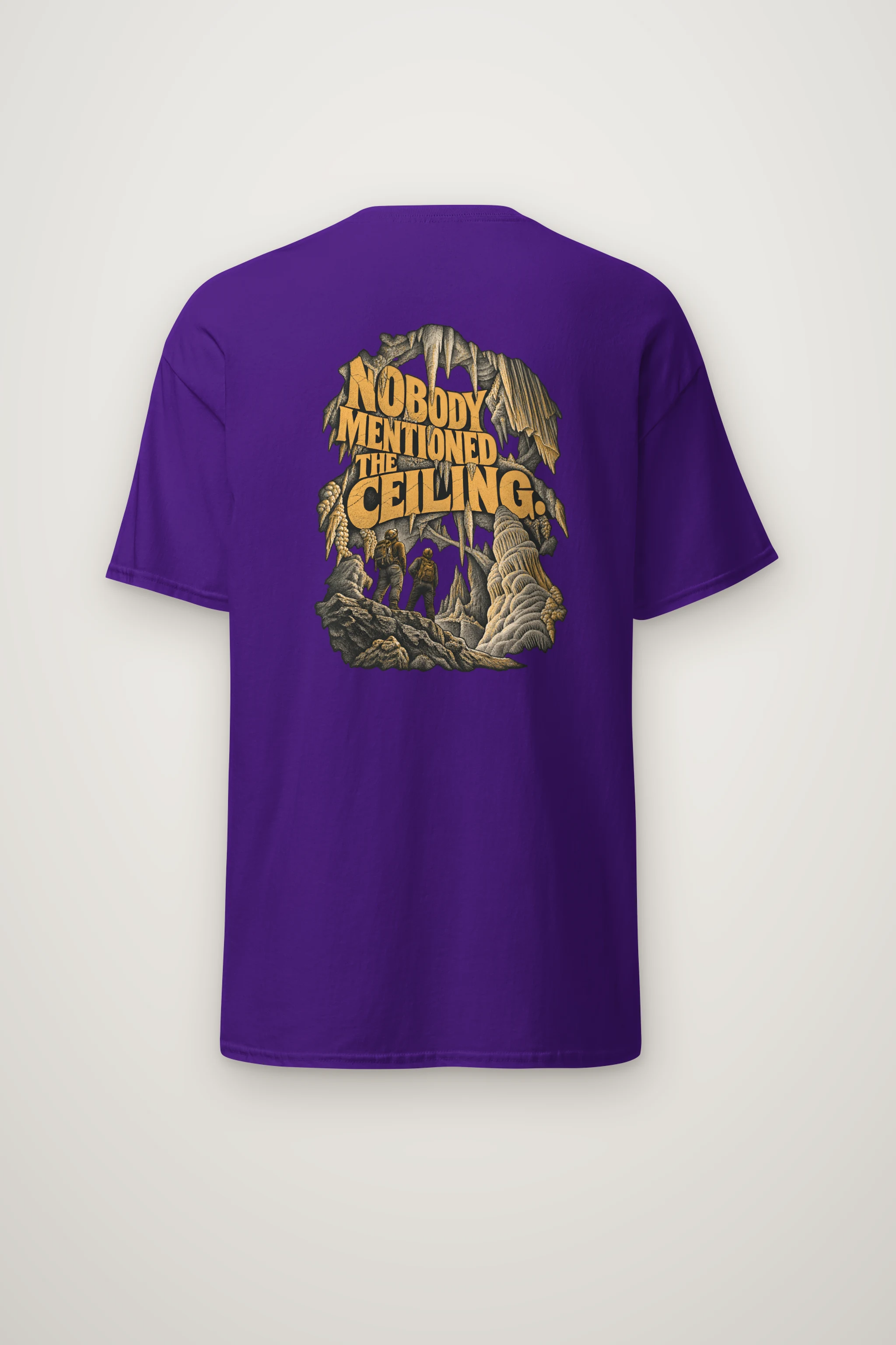 "Nobody Mentioned the Ceiling" Heavyweight Unisex Crewneck T-shirt
