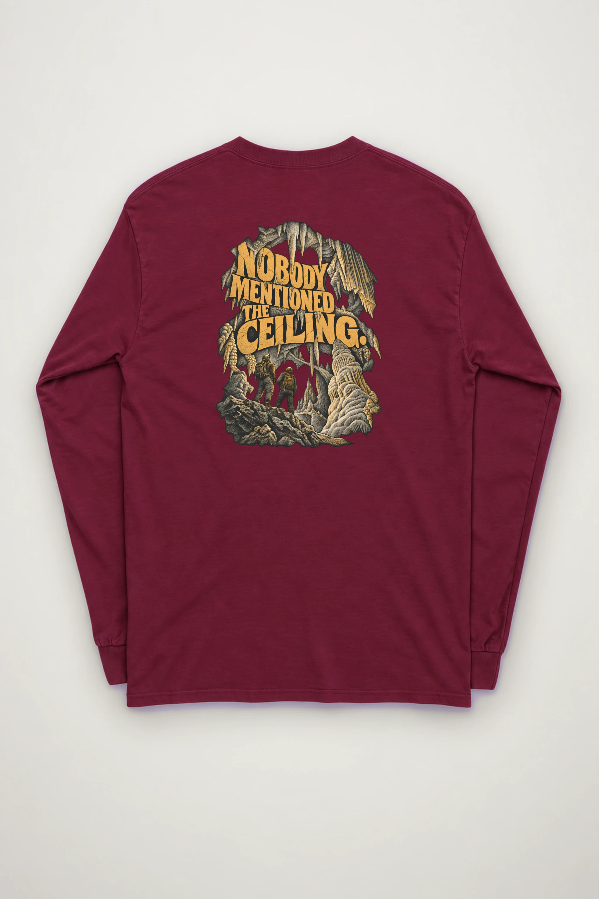 "Nobody Mentioned the Ceiling" Unisex Longsleeve T-shirt