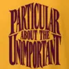 "Particular About the Unimportant" Heavyweight Unisex Crewneck T-shirt