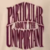 "Particular About the Unimportant" Men's Oversized Heavyweight Crewneck T-Shirt