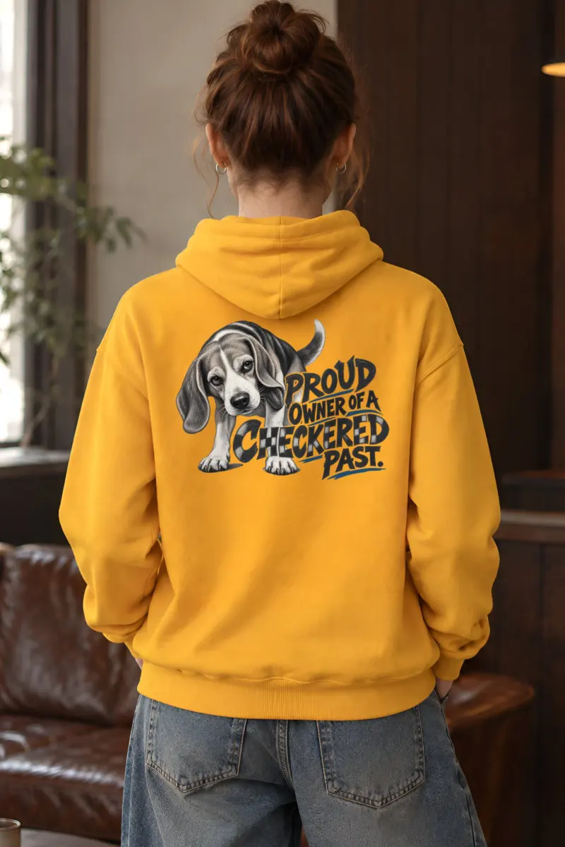 “Proud Owner of a Checkered Past” Heavy Blend Unisex Pullover Hoodie