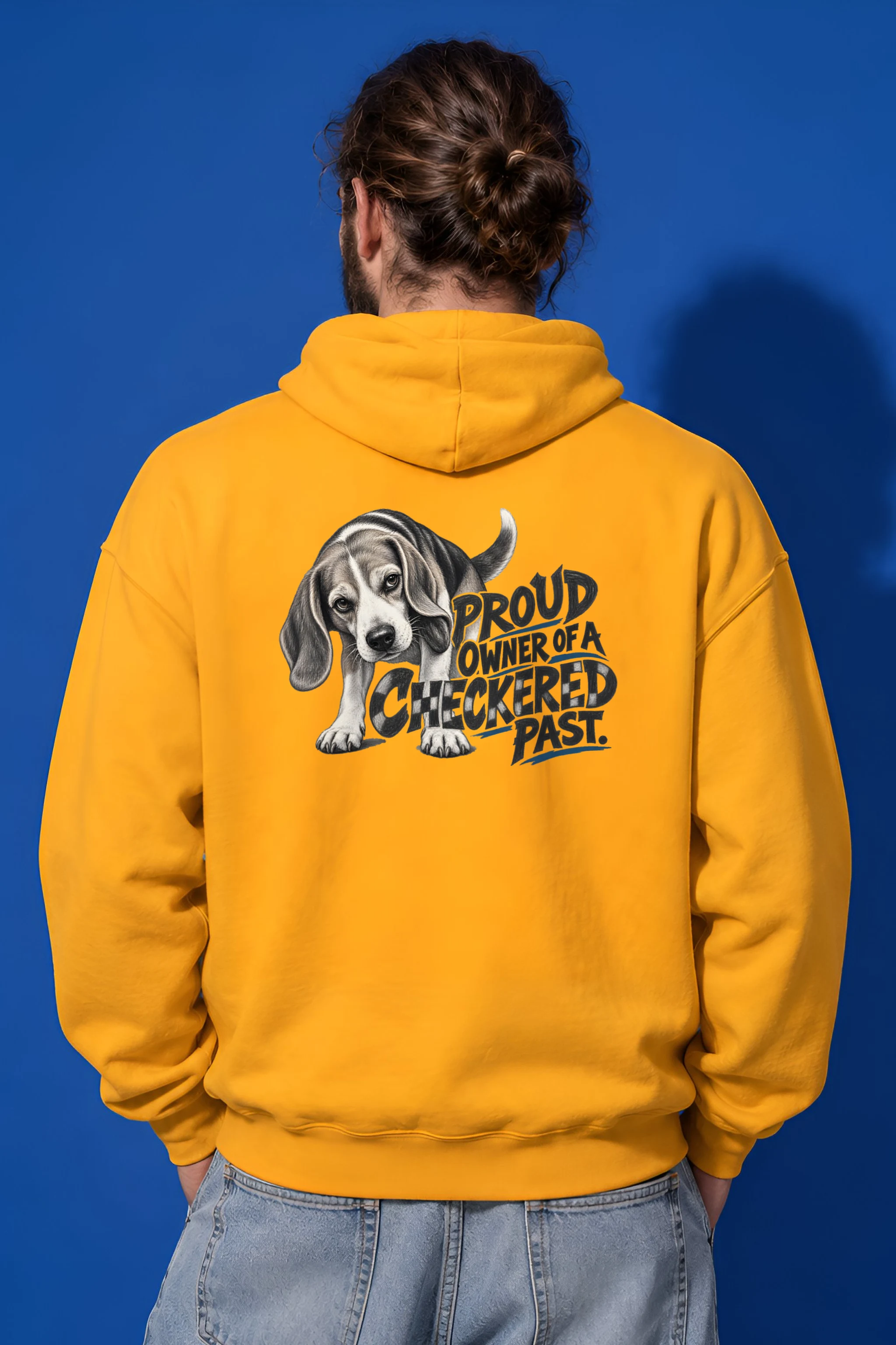 "Proud Owner of a Checkered Past" Heavy Blend Unisex Pullover Hoodie