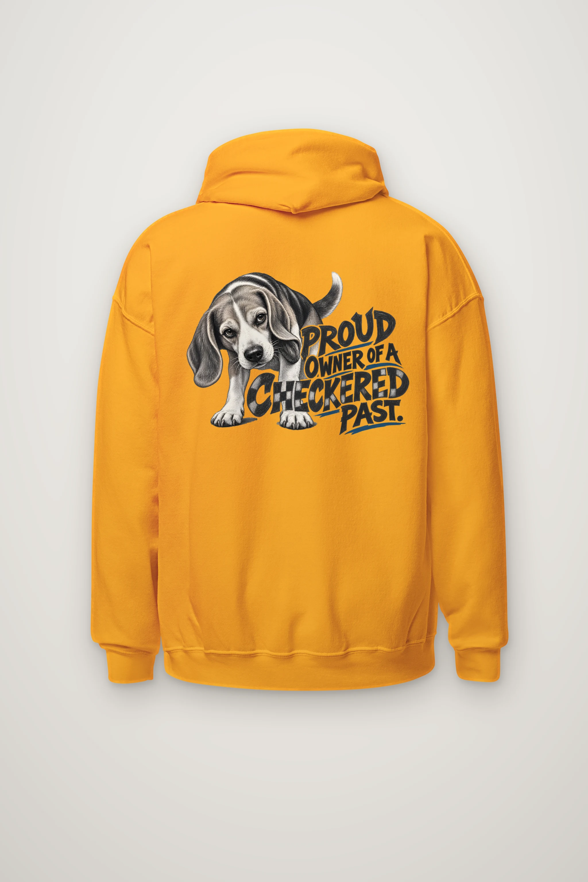 "Proud Owner of a Checkered Past" Heavy Blend Unisex Pullover Hoodie