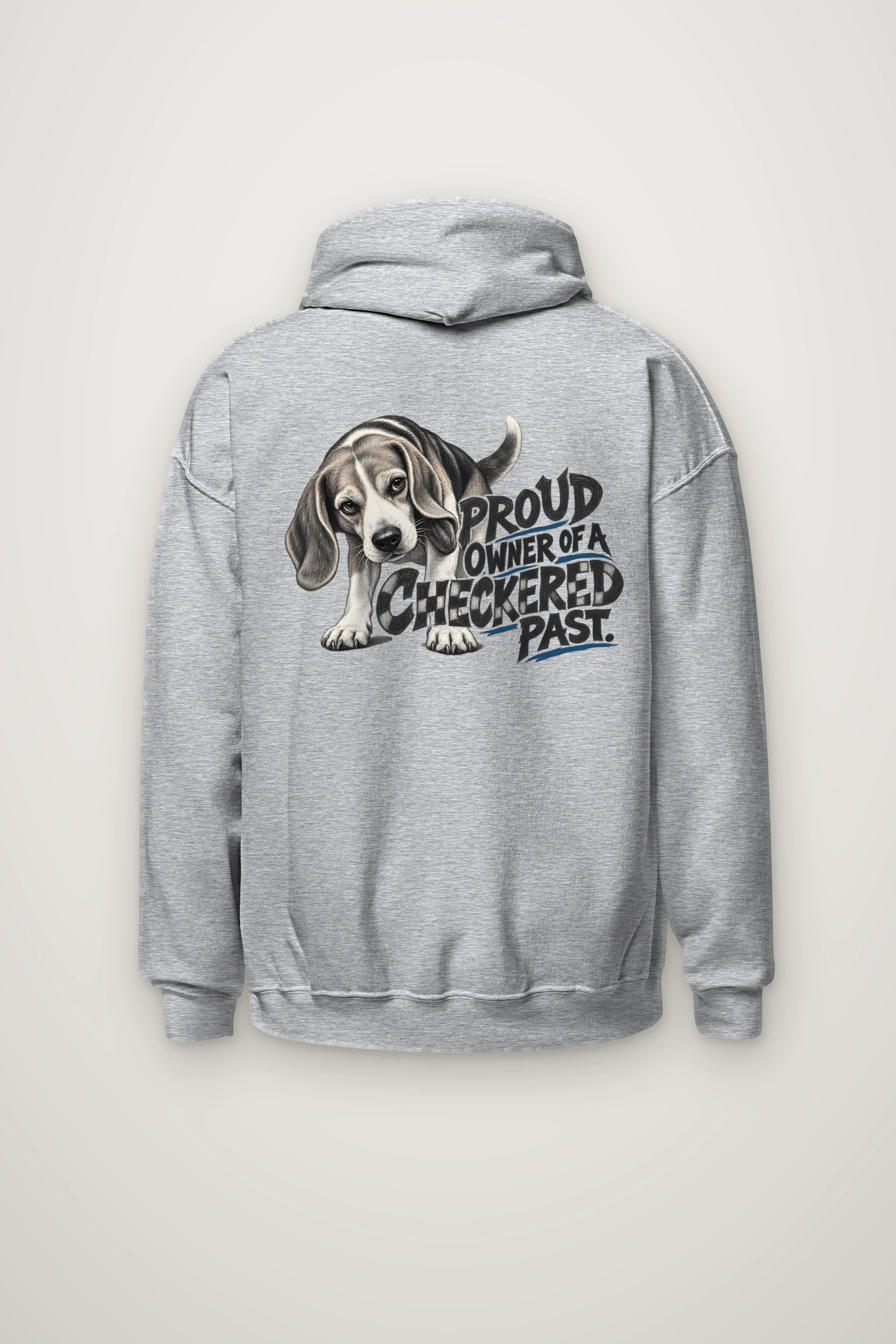 "Proud Owner of a Checkered Past" Heavy Blend Unisex Pullover Hoodie