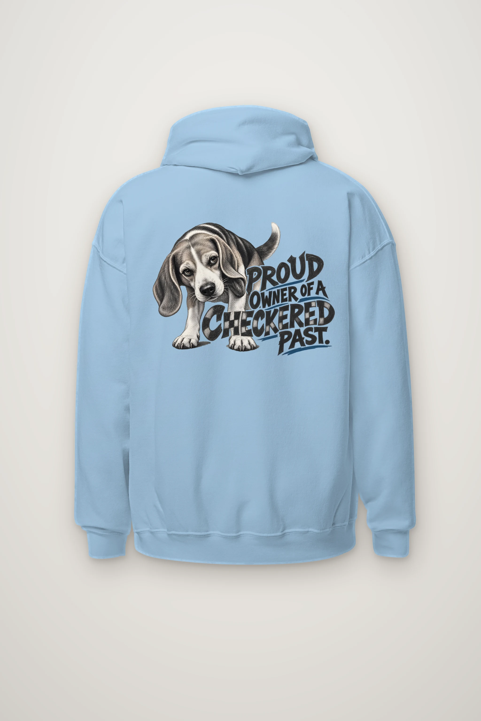 "Proud Owner of a Checkered Past" Heavy Blend Unisex Pullover Hoodie