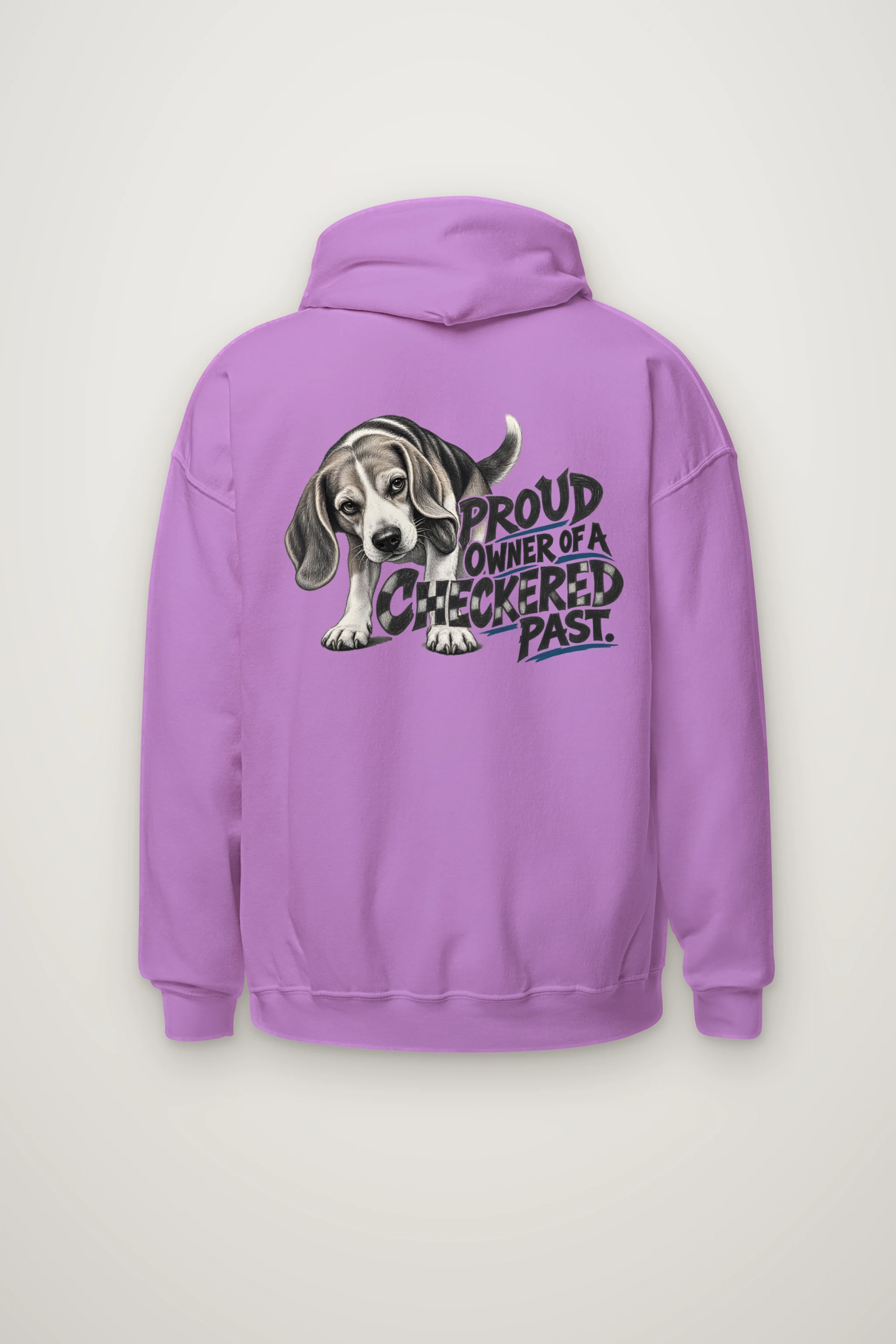 "Proud Owner of a Checkered Past" Heavy Blend Unisex Pullover Hoodie