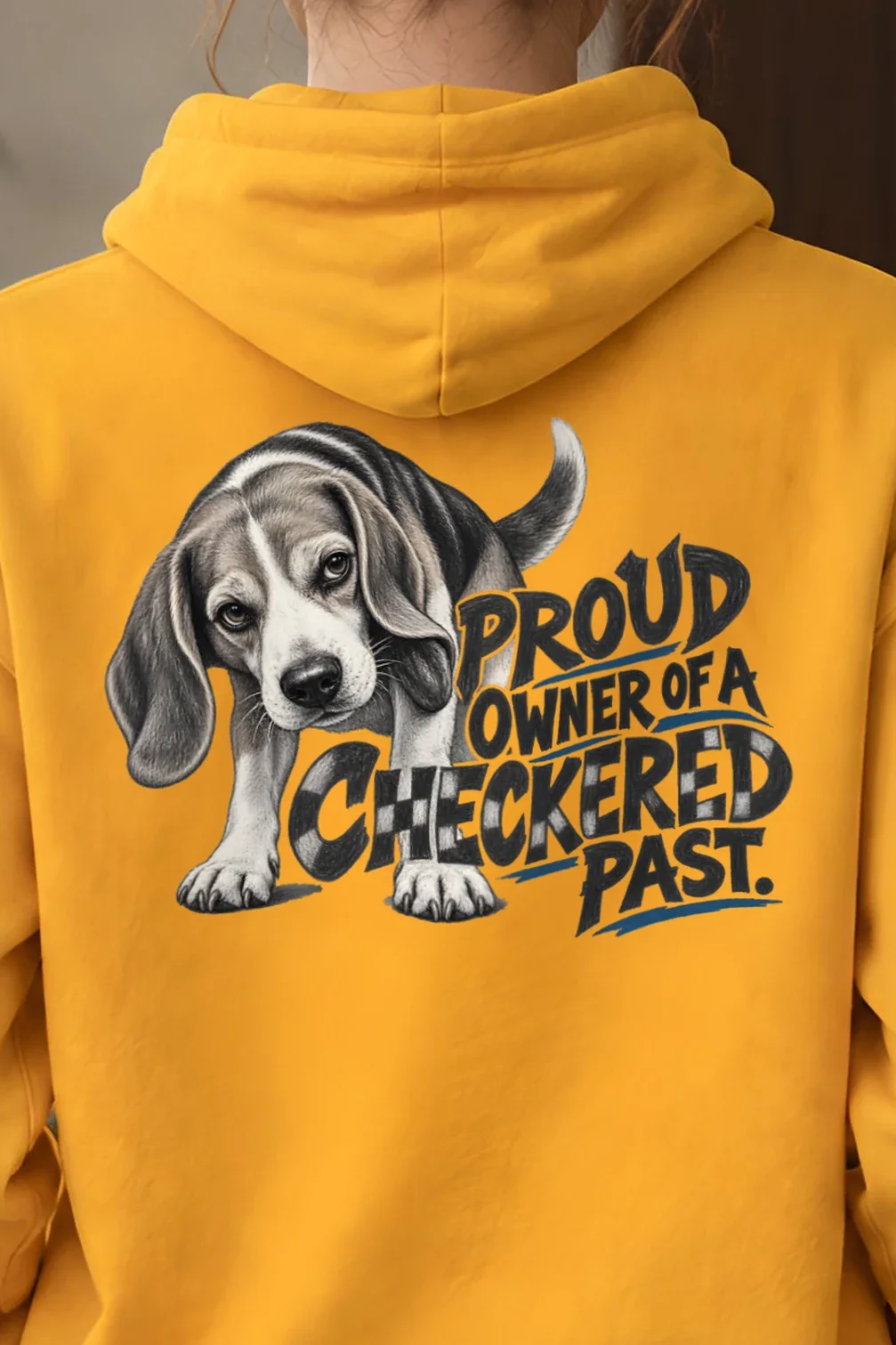 "Proud Owner of a Checkered Past" Heavy Blend Unisex Pullover Hoodie - the graphic up close