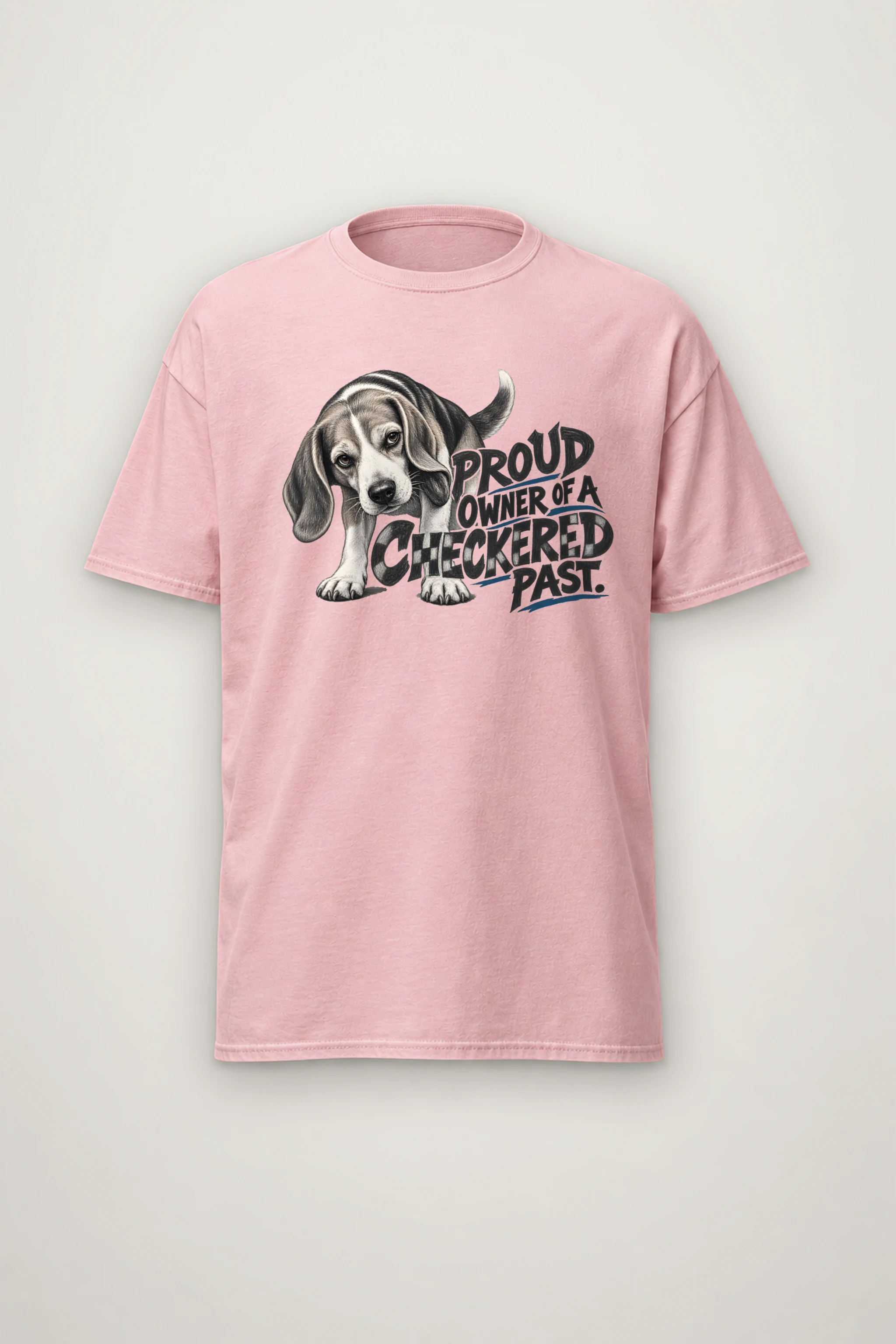 "Proud Owner of a Checkered Past" Heavyweight Unisex Crewneck T-shirt