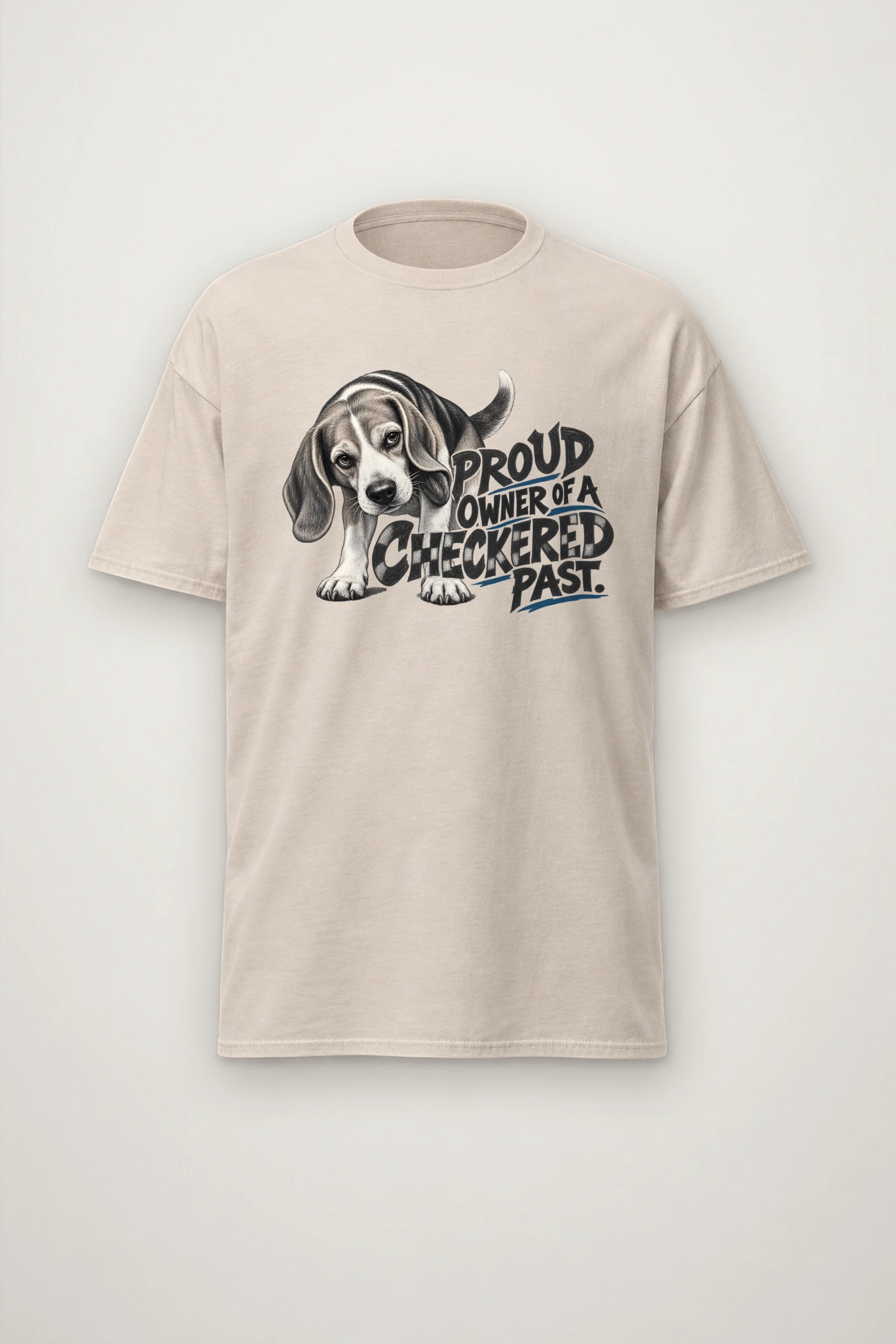 "Proud Owner of a Checkered Past" Heavyweight Unisex Crewneck T-shirt