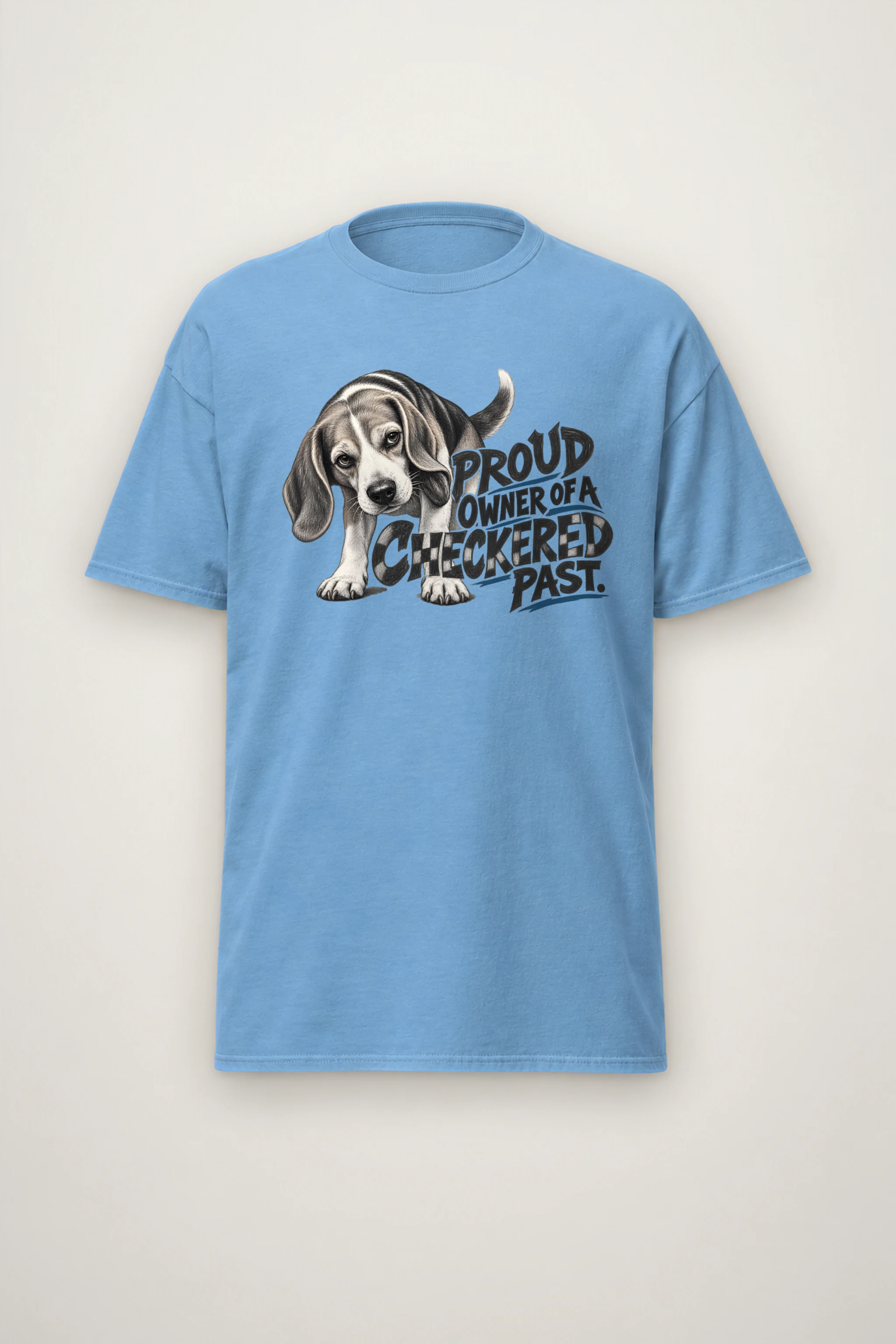 "Proud Owner of a Checkered Past" Heavyweight Unisex Crewneck T-shirt