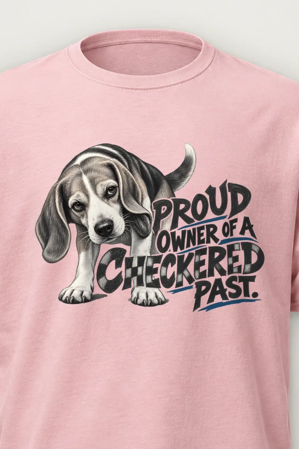 "Proud Owner of a Checkered Past" Heavyweight Unisex Crewneck T-shirt - the graphic up close