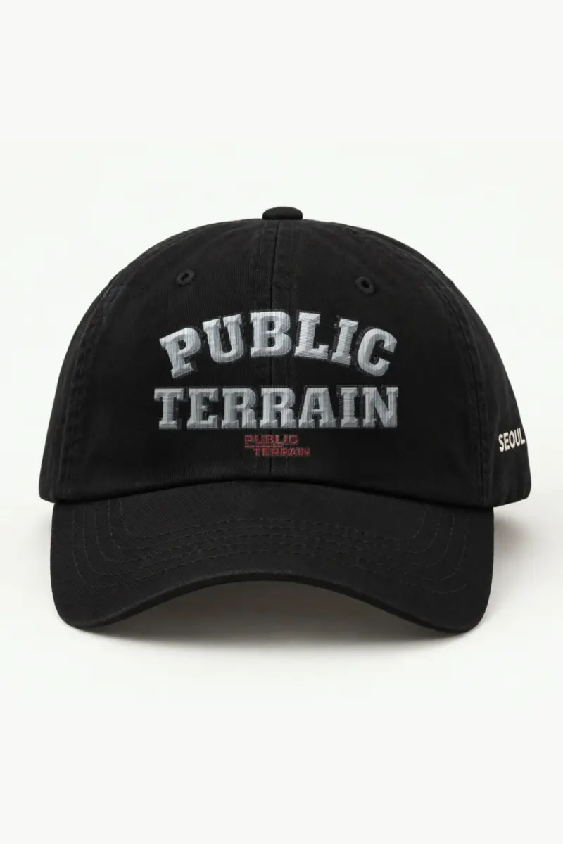 "Public Terrain" Classic Dad Hat · Embroidered