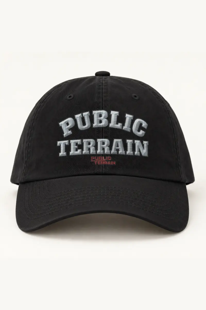 "Public Terrain" Classic Dad Hat · Embroidered