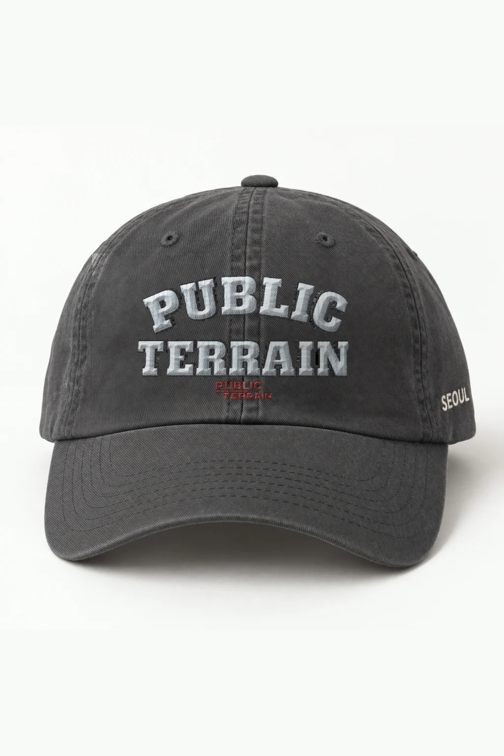"Public Terrain" Classic Dad Hat · Embroidered