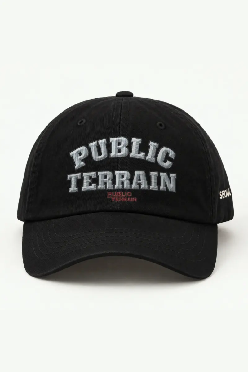 "Public Terrain" Classic Dad Hat · Embroidered — black/cap-front