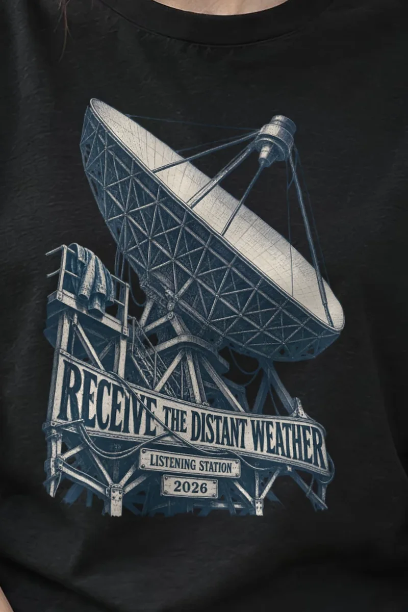 "Receive the Distant Weather" Heavyweight Unisex Crewneck T-shirt - the graphic up close