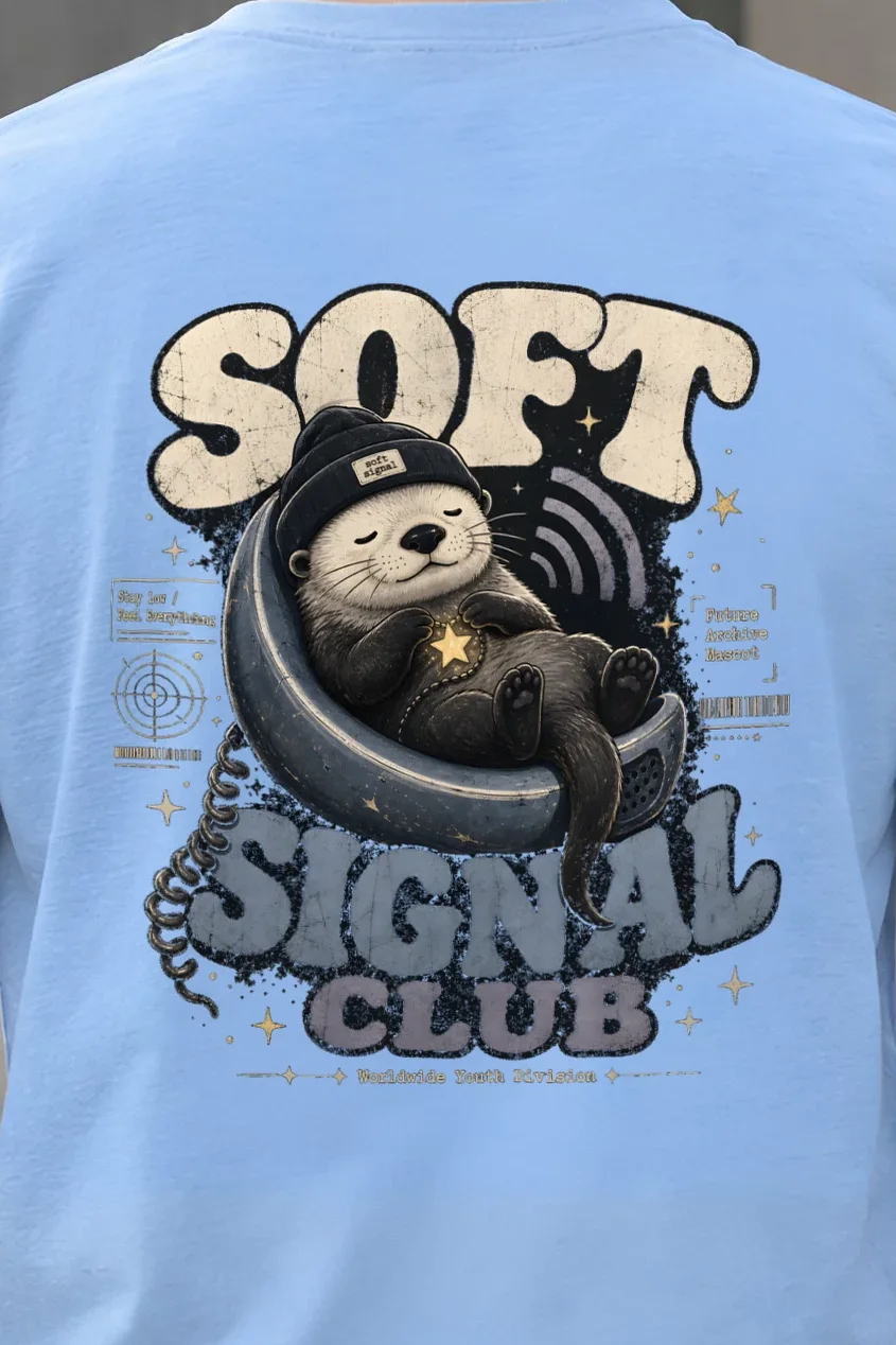 "Soft Signal Boost" Heavyweight Unisex Crewneck T-shirt - the graphic up close