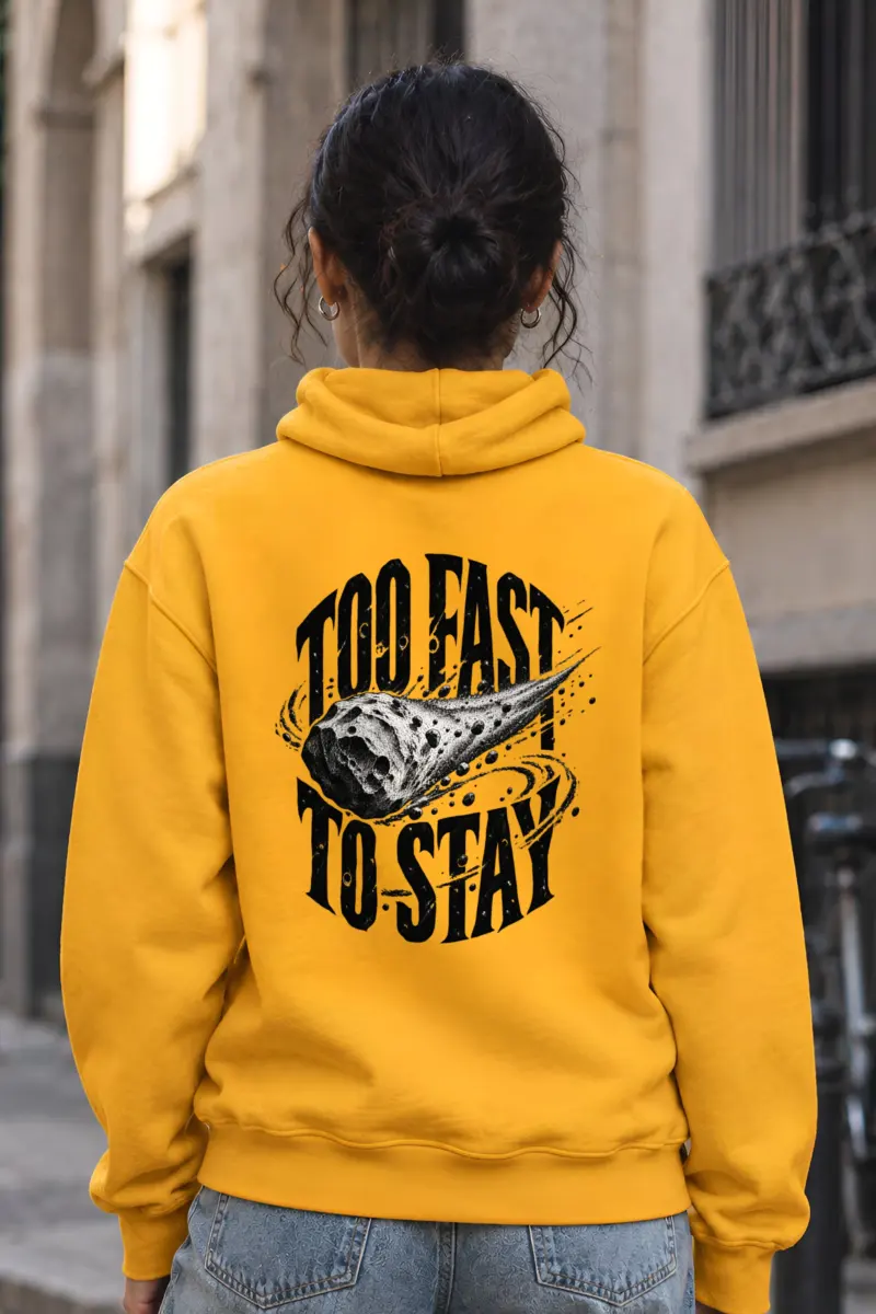 "Too Fast to Stay" Heavy Blend Unisex Pullover Hoodie