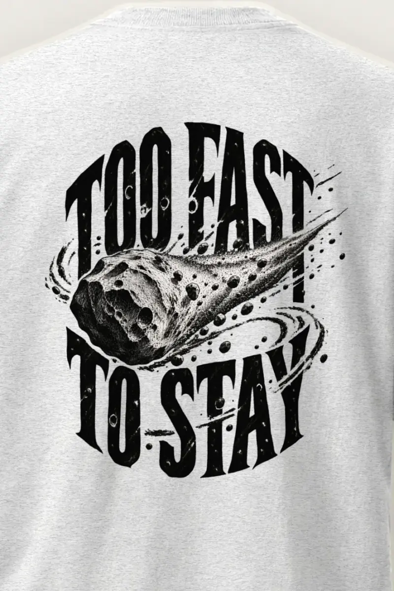 "Too Fast to Stay" Heavyweight Unisex Crewneck T-shirt - the graphic up close