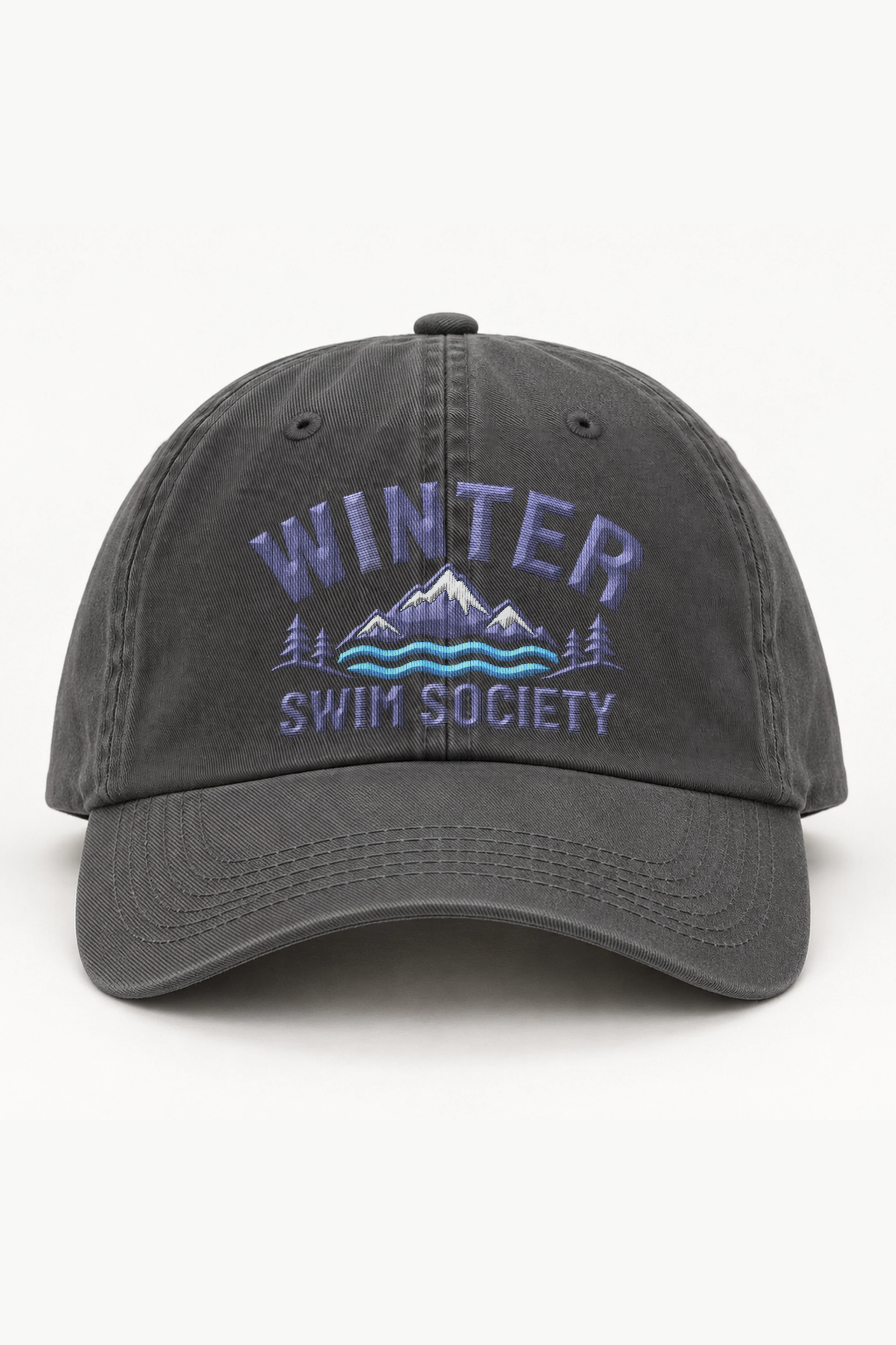 "Winter Swim Society" Classic Dad Hat · Embroidered
