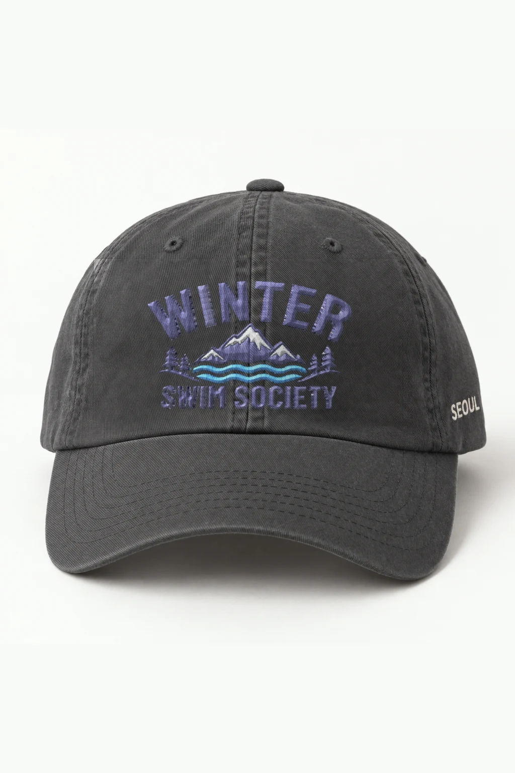 "Winter Swim Society" Classic Dad Hat · Embroidered