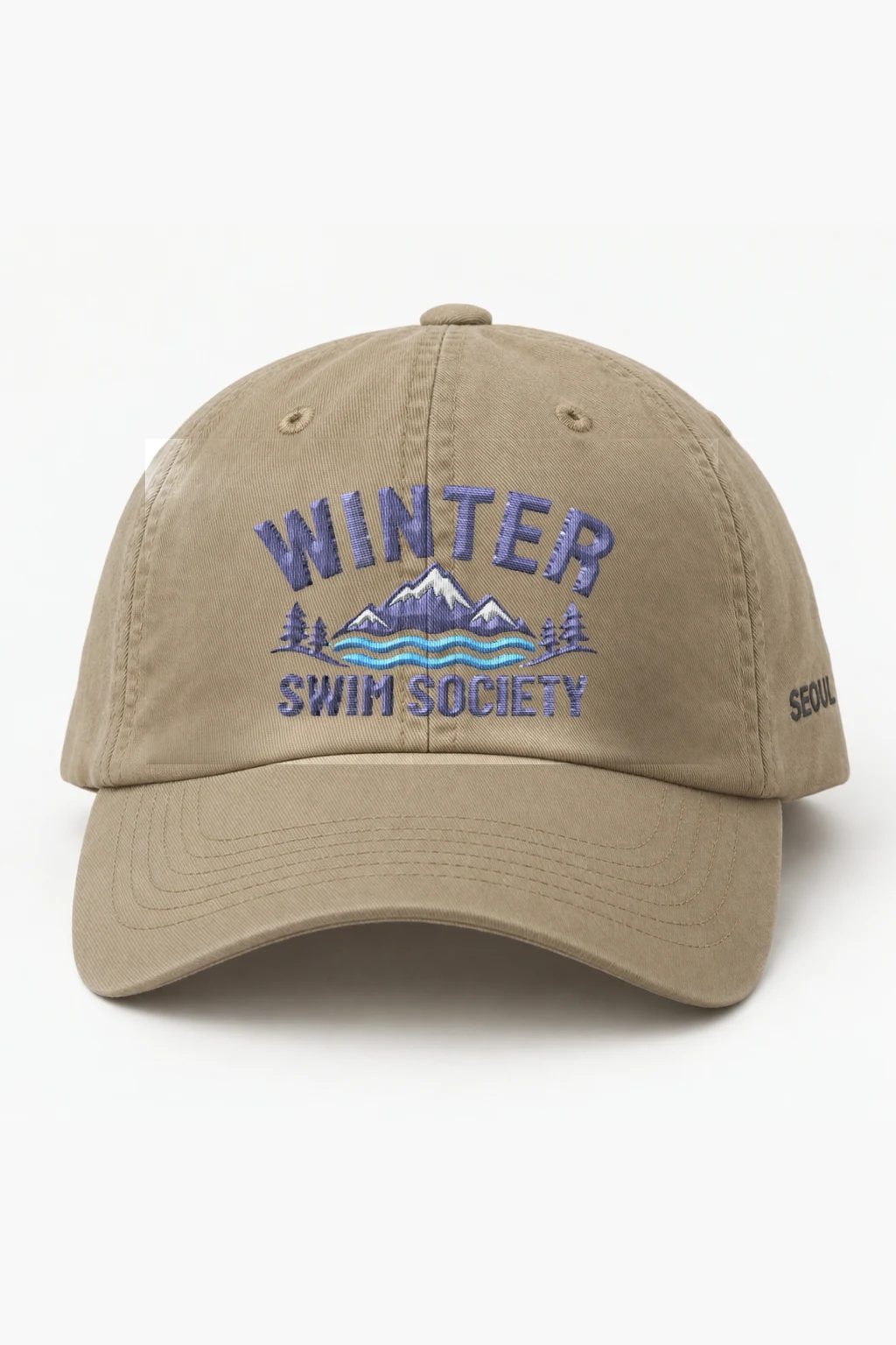 "Winter Swim Society" Classic Dad Hat · Embroidered